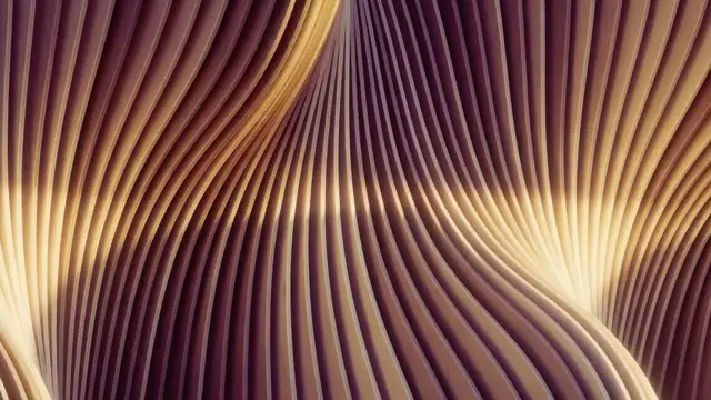 Bansuri Flute 432Hz sound journey