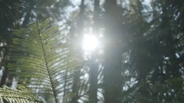 Grounded sound journey meditation