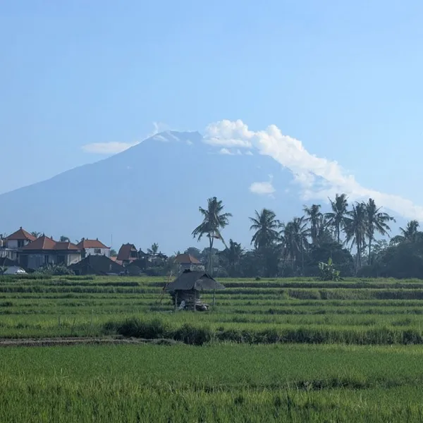 Mountain View from Ayutyas Holistic Healing Home